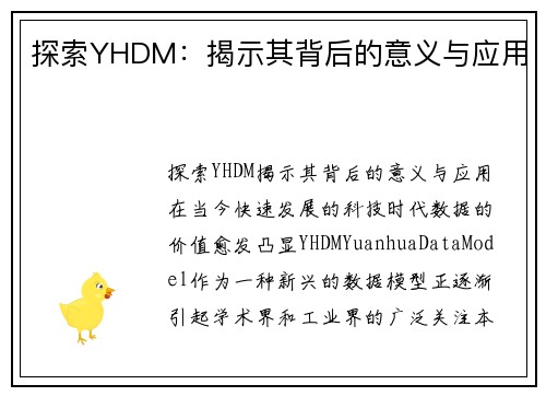 探索YHDM：揭示其背后的意义与应用